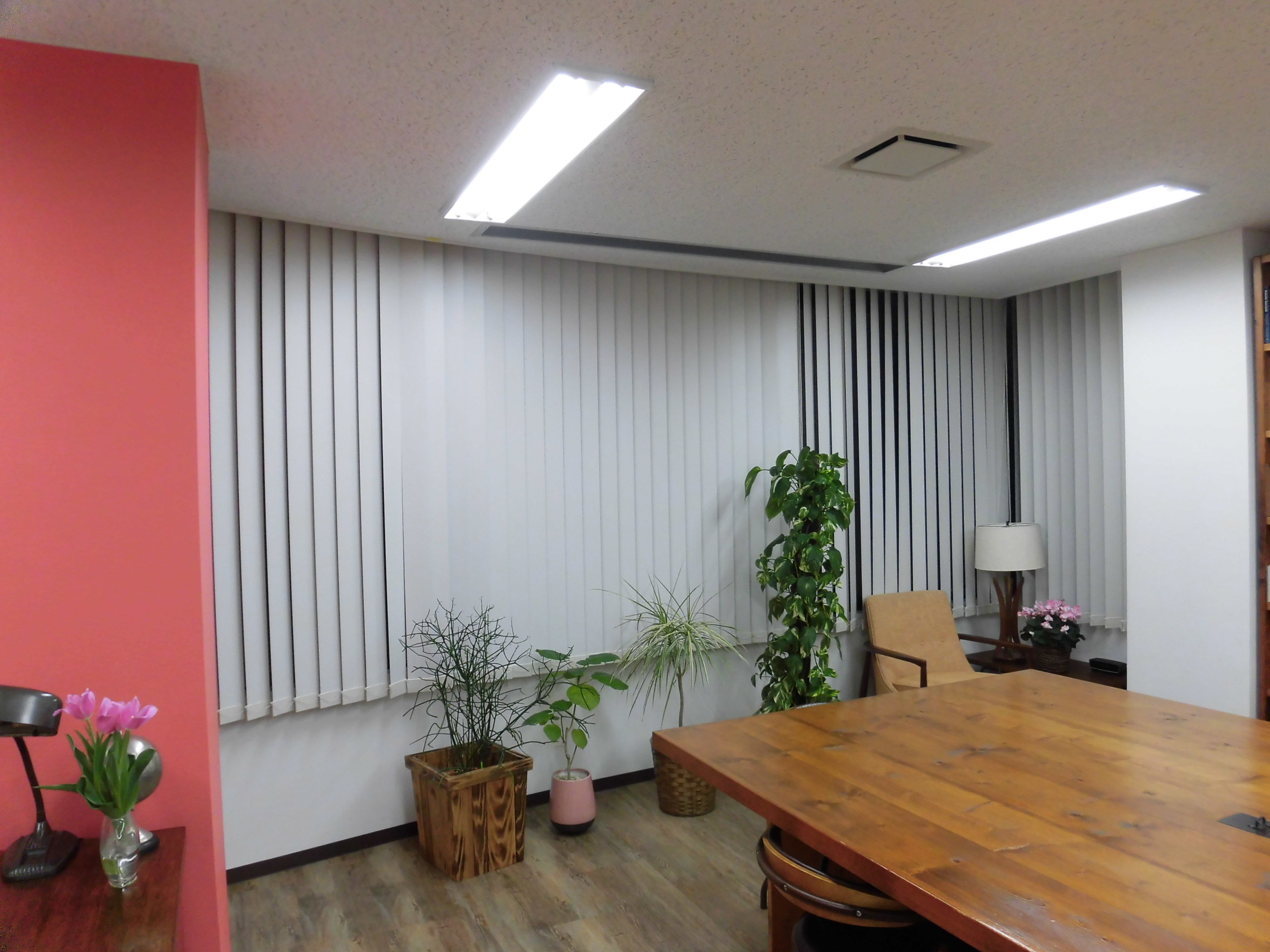 青々とした観葉植物やカラフルなお花が映えるオフィス空間