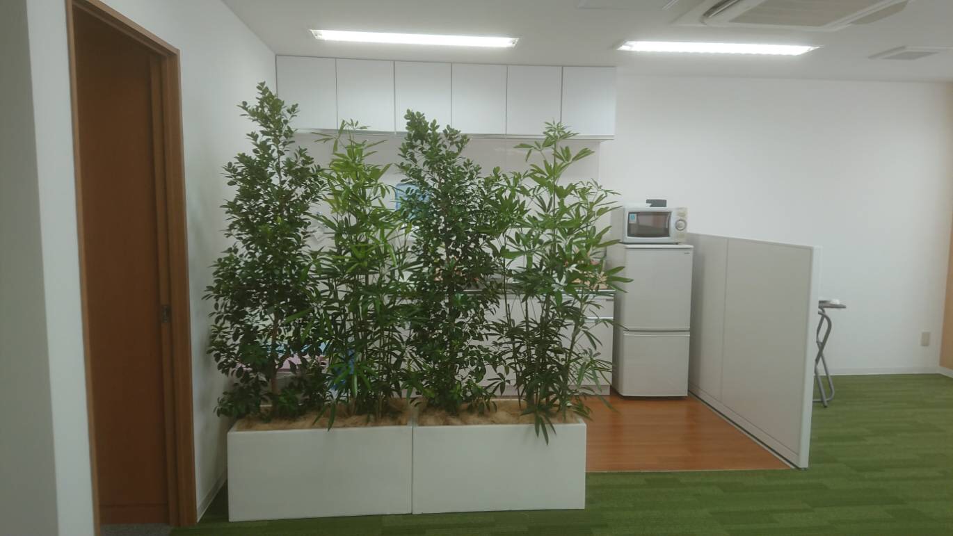 観葉植物とカーペットカラーで落ち着いた雰囲気に